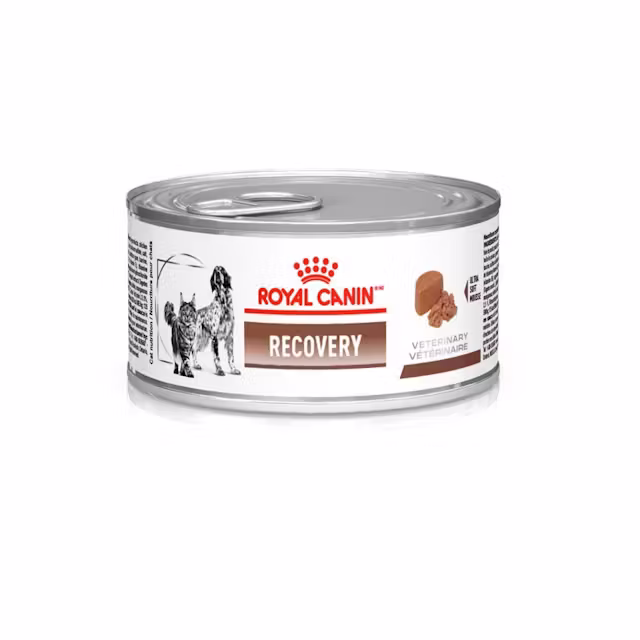 ROYAL CANIN RECOVERY 195GR
